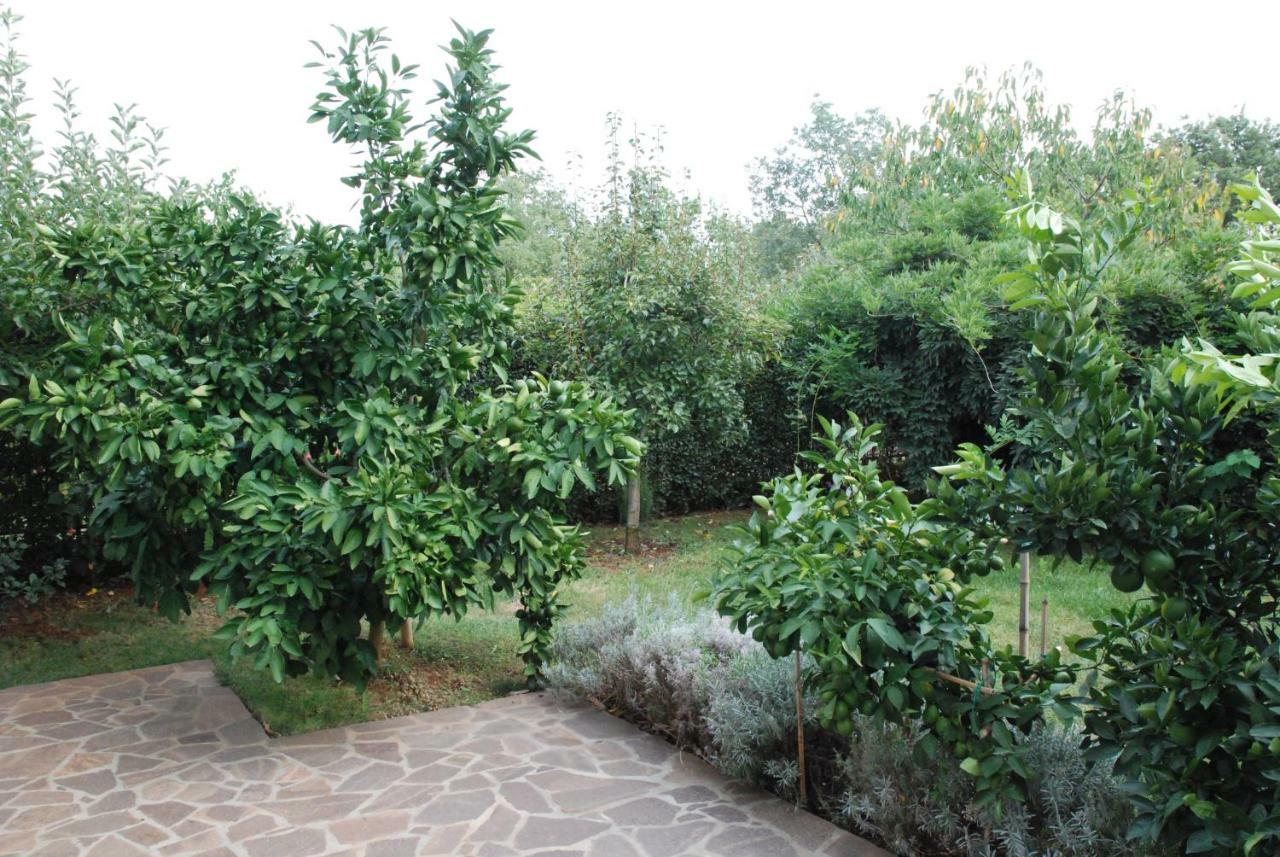 Apartmani Radin Rosini Luaran gambar