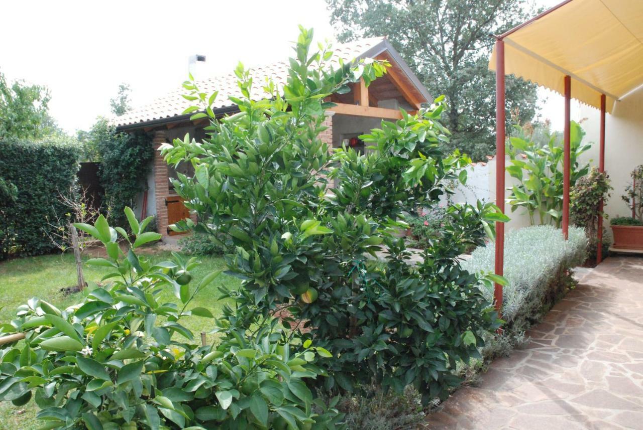 Apartmani Radin Rosini Luaran gambar